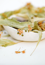 Indlæs billede til gallerivisning Nordisk te øko linde te i løs vægt