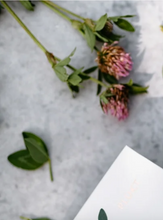 Indlæs billede til gallerivisning Nordisk te øko Rødkløver i løs vægt