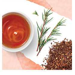 Rooibos- økologisk urte te