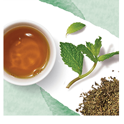 Mint - økologisk mynte te