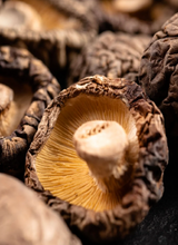 Indlæs billede til gallerivisning Hele shiitake svampe 400 g - kolli 6 stk.