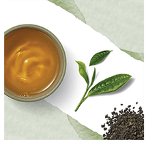 Indlæs billede til gallerivisning Gunpowder Green - økologisk grøn te